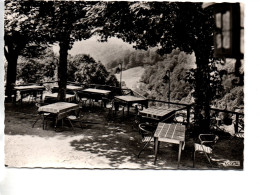 CPSM PLOMBIERES LES BAINS (Vosges) Hostellerie Les Rosiers - Plombieres Les Bains