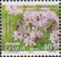 625229 MNH SERBIA 2019 FLORES - Serbia