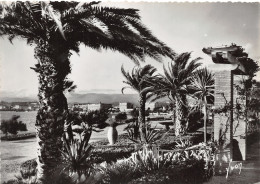 06-CANNES-N°381-D/0143 - Cannes