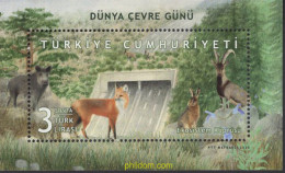 653297 MNH TURQUIA 2020 DIA MUNDIAL DE LA ECOLOGIA - ...-1858 Vorphilatelie