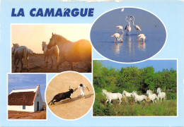 13-PANORAMA DE LA CAMARGUE-N°383-B/0153 - Altri & Non Classificati