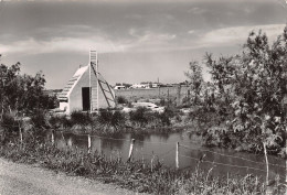 13-PANORAMA DE LA CAMARGUE-N°383-B/0103 - Otros & Sin Clasificación