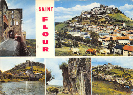 15-SAINT FLOUR-N°384-A/0189 - Saint Flour