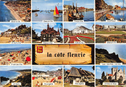 14-PANORAMA DE LA COTE FLEURIE-N°384-A/0021 - Autres & Non Classés