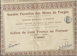 SOCIETE FERMIERE DES MINES DE  FORGES - PAR MARCILLY - LES - BUXY -SAONE ET LOIRE ACTION DE 100 FRS -ANNEE 1909 - Mines