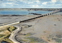 17-ILE D OLERON-N°384-C/0159 - Ile D'Oléron