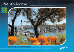 17-ILE D OLERON-N°384-C/0029 - Ile D'Oléron