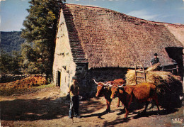 19-CHAUMEIL-FERME AU TOIT DE CHAUME-N°385-B/0027 - Sonstige & Ohne Zuordnung