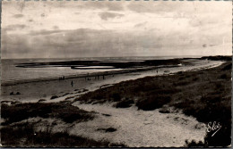 N°3397 W -cpsm île D'Oléron -Domino- La Petite Plage- - Ile D'Oléron