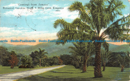 R128464 Greetings From Jamaica. Botanical Gardens. Hope. A Duperly. 1931. B. Hop - Monde