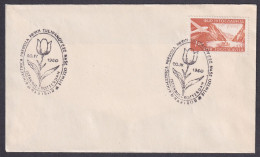 .Yugoslavia, 1960-04-20, Slovenia, Maribor, Istanbul-Rotterdam, Special Postmark - Autres & Non Classés
