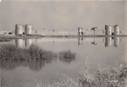 30-AIGUES MORTES-N°387-C/0101 - Aigues-Mortes