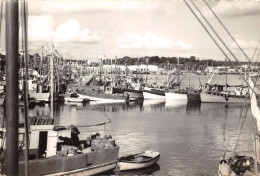 29-CONCARNEAU-N°387-A/0359 - Concarneau