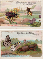 2 Images Pour écolier - Les Insectes Nuisibles à Détruire - Autres & Non Classés