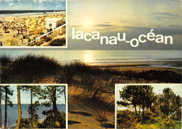 33-LACANAU-N°387-D/0341 - Other & Unclassified