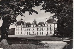 41-CHEVERNY-LE CHÂTEAU-N°389-C/0319 - Cheverny