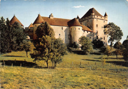 39-LONS LE SAUNIER-LE CHÂTEAU DU PIN-N°389-B/0313 - Lons Le Saunier