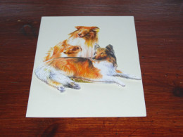 76762-    UNUSED SELF-MADE DOUBLE CARD - HONDEN / DOG DOGS / HUNDE / CHIENS / PERROS - Perros