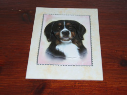 76763-    UNUSED SELF-MADE DOUBLE CARD - HONDEN / DOG DOGS / HUNDE / CHIENS / PERROS - Chiens