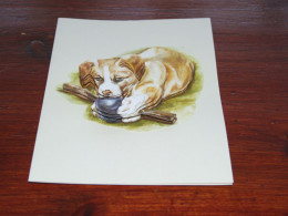 76764-    UNUSED SELF-MADE DOUBLE CARD - HONDEN / DOG DOGS / HUNDE / CHIENS / PERROS - Dogs