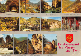 48-PANORAMA DES GORGES DU TARN-N°390-C/0151 - Otros & Sin Clasificación