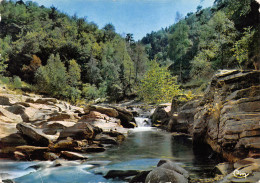 48-BORDS DE LA LOZERE-N°390-B/0367 - Sonstige & Ohne Zuordnung