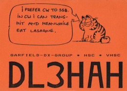 CHAT / CAT : GARFIELD Sur CARTE QSL / RADIOAMATEUR - GARFIELD-DX-GROUP / SEEVETAL / GERMANY -  1984 - RRR ! (an724) - Katten