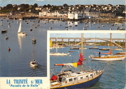 56-LA TRINITE SUR MER-N°391-B/0313 - La Trinite Sur Mer