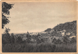 55-CLERMONT EN ARGONNE-N°391-B/0151 - Clermont En Argonne