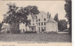 91. BRIIS SOUS FORGES. CPA.  CHATEAU DE SOUCY. ANNEE 1907+ TEXTE - Briis-sous-Forges