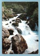 CP 84 - Fontaine De Vaucluse Et Ses Cascades En Hautes Eaux (un Pli Visible Sur La Photo) - Autres & Non Classés