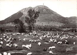 63-LE PUY DE DOME-N°392-C/0219 - Sonstige & Ohne Zuordnung