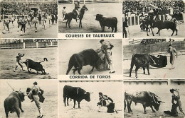 Corrida - Toros - Multivues - CPM - Voir Scans Recto-Verso - Corridas