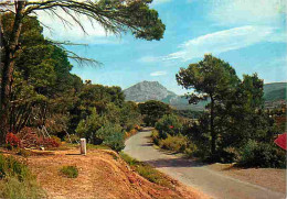 13 - Montagne Sainte Victoire - Route Du Tholonet - Stèle Cézanne - CPM - Voir Scans Recto-Verso - Other & Unclassified