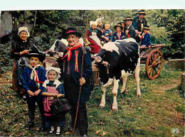 Animaux - Vaches - Auvergne - Groupe Folklorique Les Enfants De L'Auvergne à Clermont-Ferrand - Départ Pour La Grand Mes - Koeien