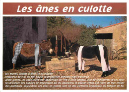 Animaux - Anes - Ile De Ré - Anes En Culotte - Donkeys - Burros - Esel - Asini - CPM - Voir Scans Recto-Verso - Burros