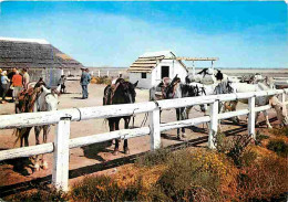 Animaux - Chevaux - Camargue - Ranch Camarguais - CPM - Voir Scans Recto-Verso - Caballos