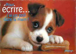 Animaux - Chiens - Race à Définir - Chiots - Carte Humoristique - Carte Neuve - CPM - Voir Scans Recto-Verso - Cani