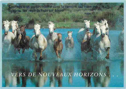 Animaux - Chevaux - Chevaux Sauvages - Poulain - Voir Scans Recto Verso  - Pferde