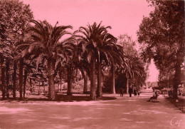 66-PERPIGNAN-N°393-D/0143 - Perpignan