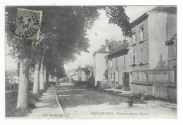 CPA NEUFCHATEAU, ENTREE ET ROUTE D'EPINAL, VOSGES 88 - Neufchateau