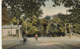 's-Gravenhage Ingang Haagsche Bosch Levendig Fietsers   4594 - Den Haag ('s-Gravenhage)