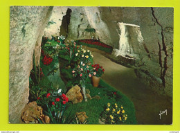 49 DOUE LA FONTAINE Cité Des Roses VOIR Au DOS Tampon Journées De La Rose N°1 Mi-juillet Dans Les Grottes Des Arènes - Doue La Fontaine