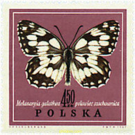 707989 MNH POLONIA 1967 MARIPOSAS - Nuevos