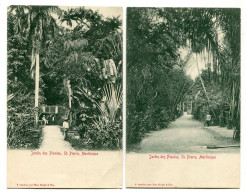 SAINT-PIERRE (Martinique) - JARDIN DES PLANTES (2 Ex.) - Vendue Par Mac Hugh & Cie. - Autres & Non Classés