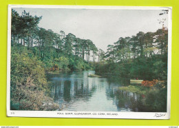 RU Irlande POUL GOM GLENGARRIFF Co Cork Ireland N°215 VOIR DOS TIMBRES En 1977 - Sonstige & Ohne Zuordnung