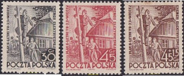 713152 MNH POLONIA 1951 COMMEMORACION DEL PLAN SEXENAL DE ELECTRIFICACION DE LOS CAMPOS - Nuevos