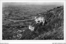 ABIP9-74-0745 - LE SALEVE - La Plaine Du Leman  - Sonstige & Ohne Zuordnung