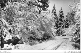 ABIP4-74-0355 - MEGEVE - Les Routes De L'Evasion Qui Conduisent Aux Ivresse Blanches Sont Les Feeries De L'Hivers  - Megève