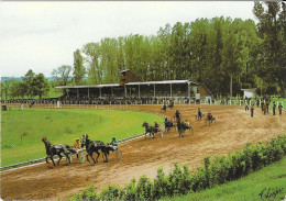 BEAUMONT-de-LOMAGNE - L'Hippodrome - Beaumont De Lomagne